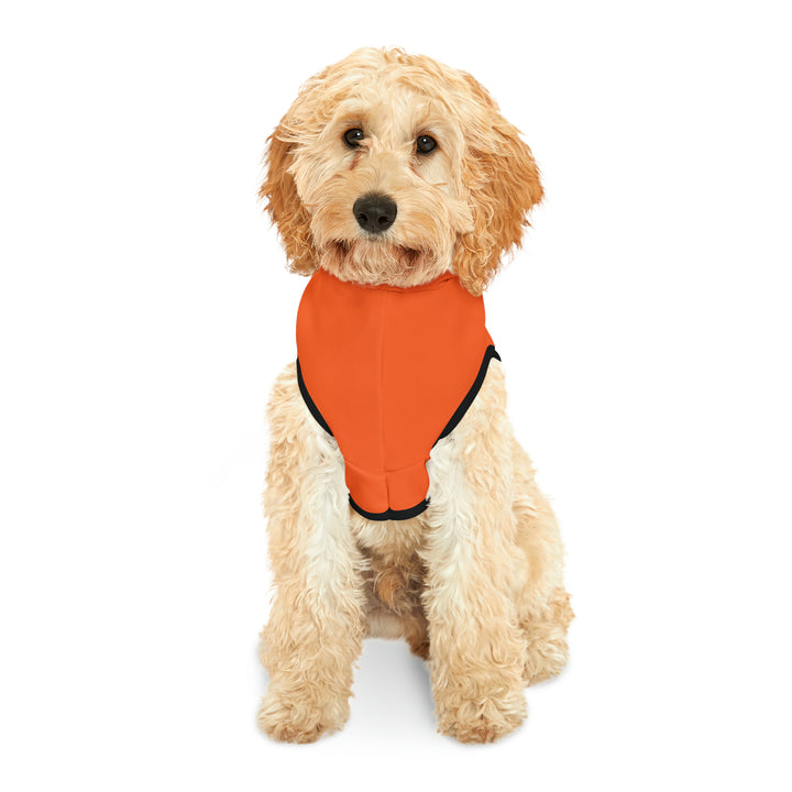Pet Hoodie